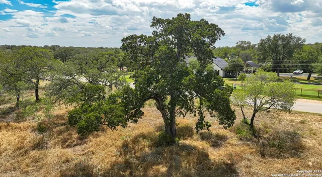 a view of a yard with a tree