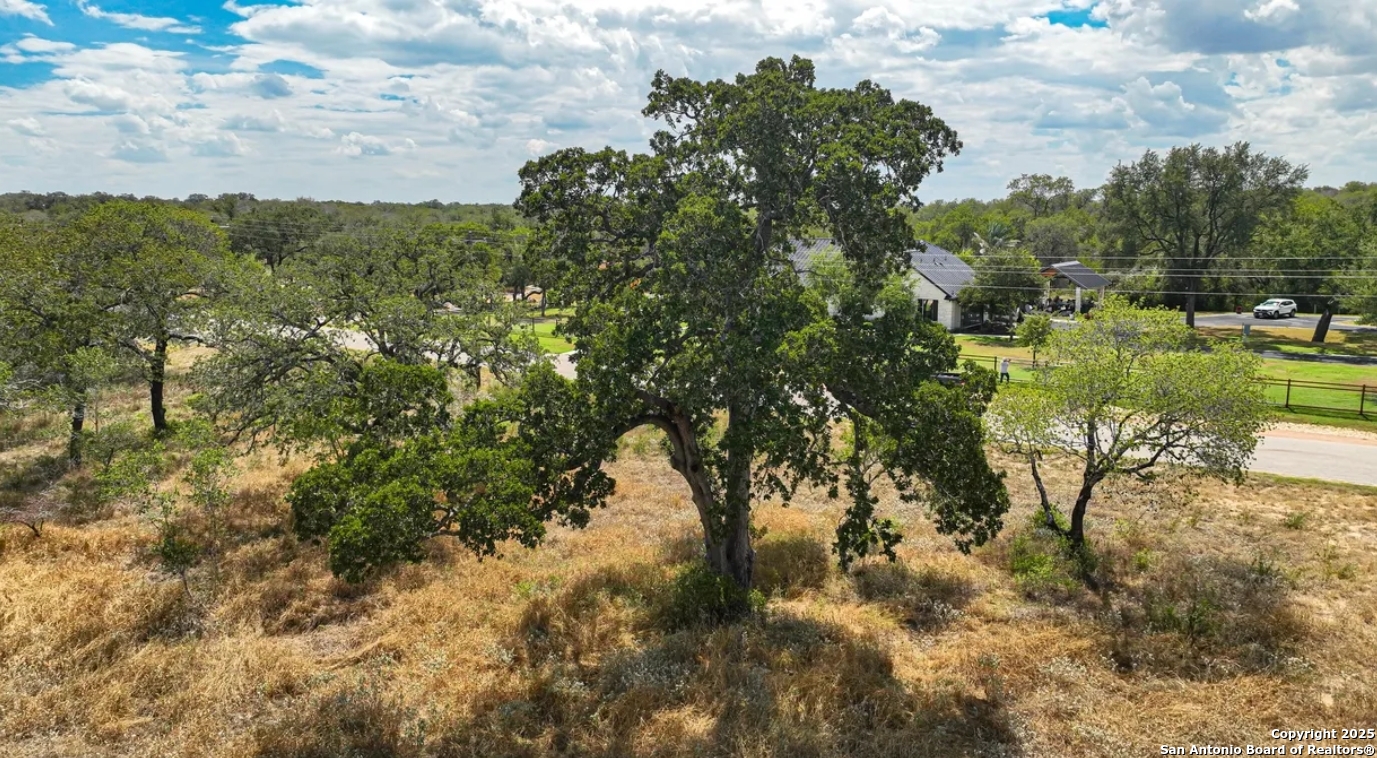 205 Trophy Lane Poteet, TX 78065 - Photo 3 of 12 a view of a yard with a tree