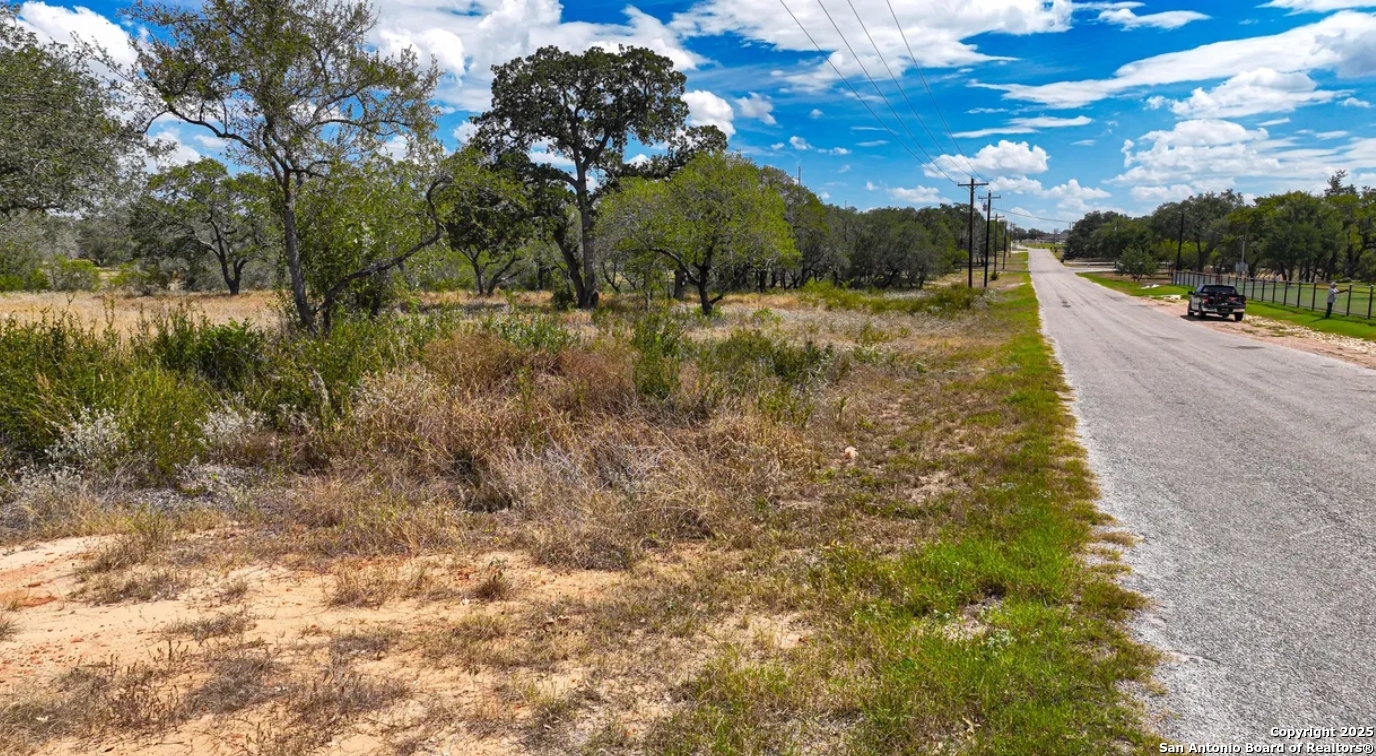 205 Trophy Lane Poteet, TX 78065 - Photo 5 of 12 a view of lake with tree