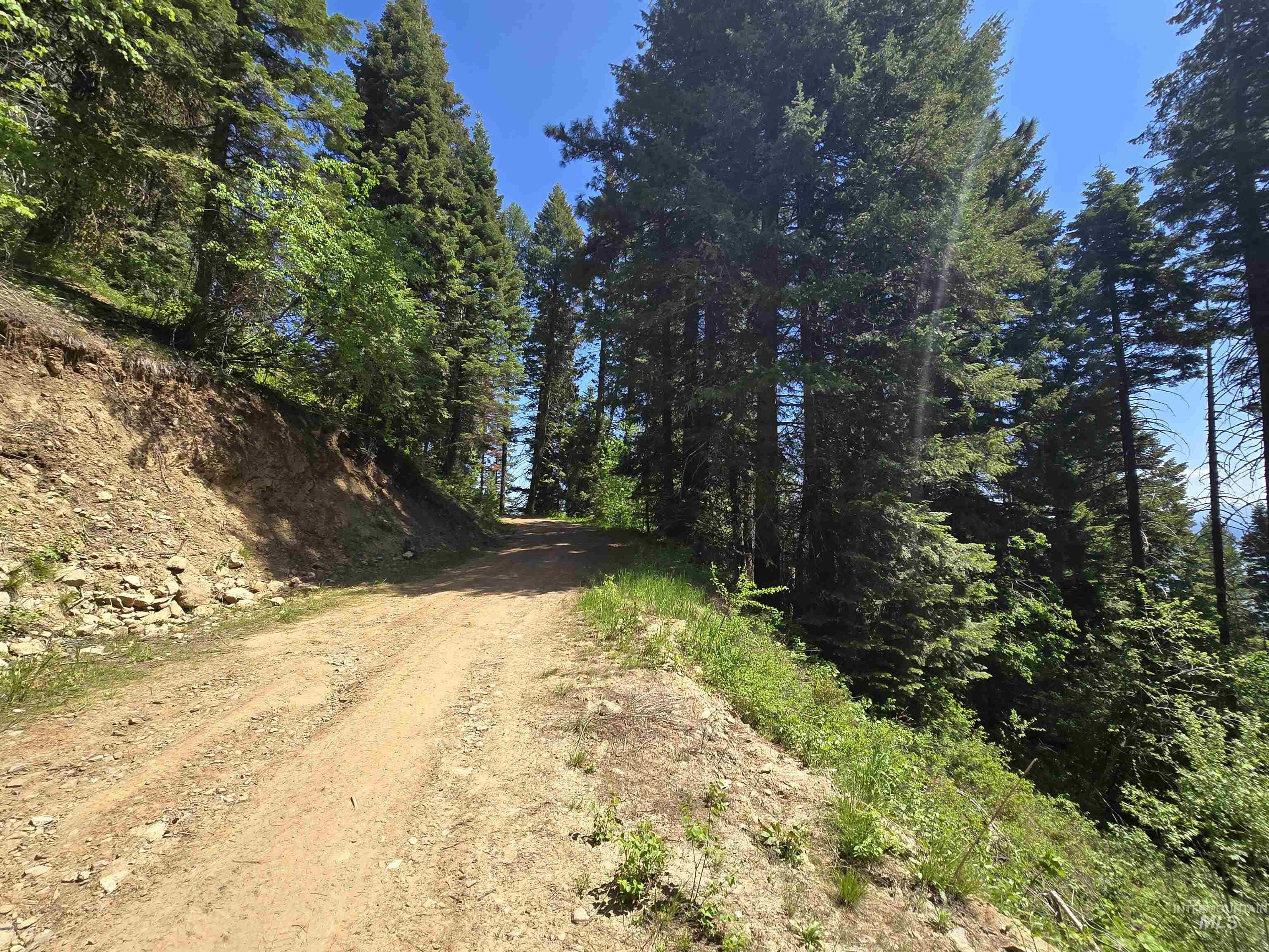 74 Burnt Wagon Trail Cascade, ID 83611 - Photo 3 of 5