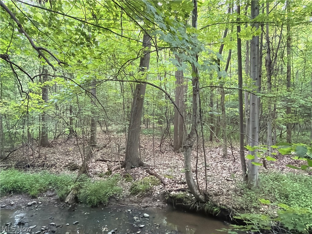 Crosby Cook Road Rome, OH 44085 - Photo 24 of 48 Wooded lot featuring mature deciduous trees and a natural creek
