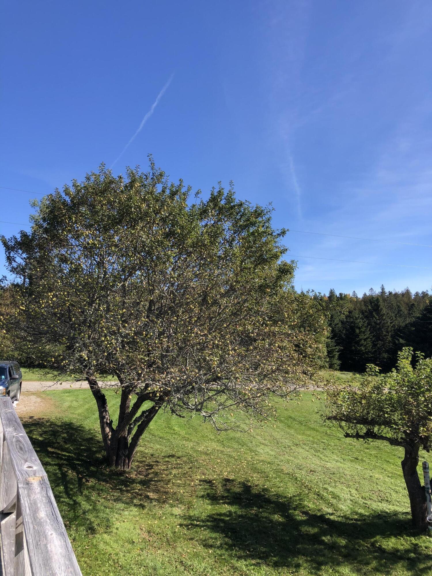 175 Leach Point Road Perry, ME 04667 - Photo 10 of 45 9EA35617-4466-4580-AA71-D01EC1775078