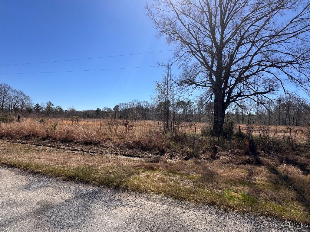480 County Road 74 Road Selma, AL 36701 - Photo 15 of 33 Gallery Image 15