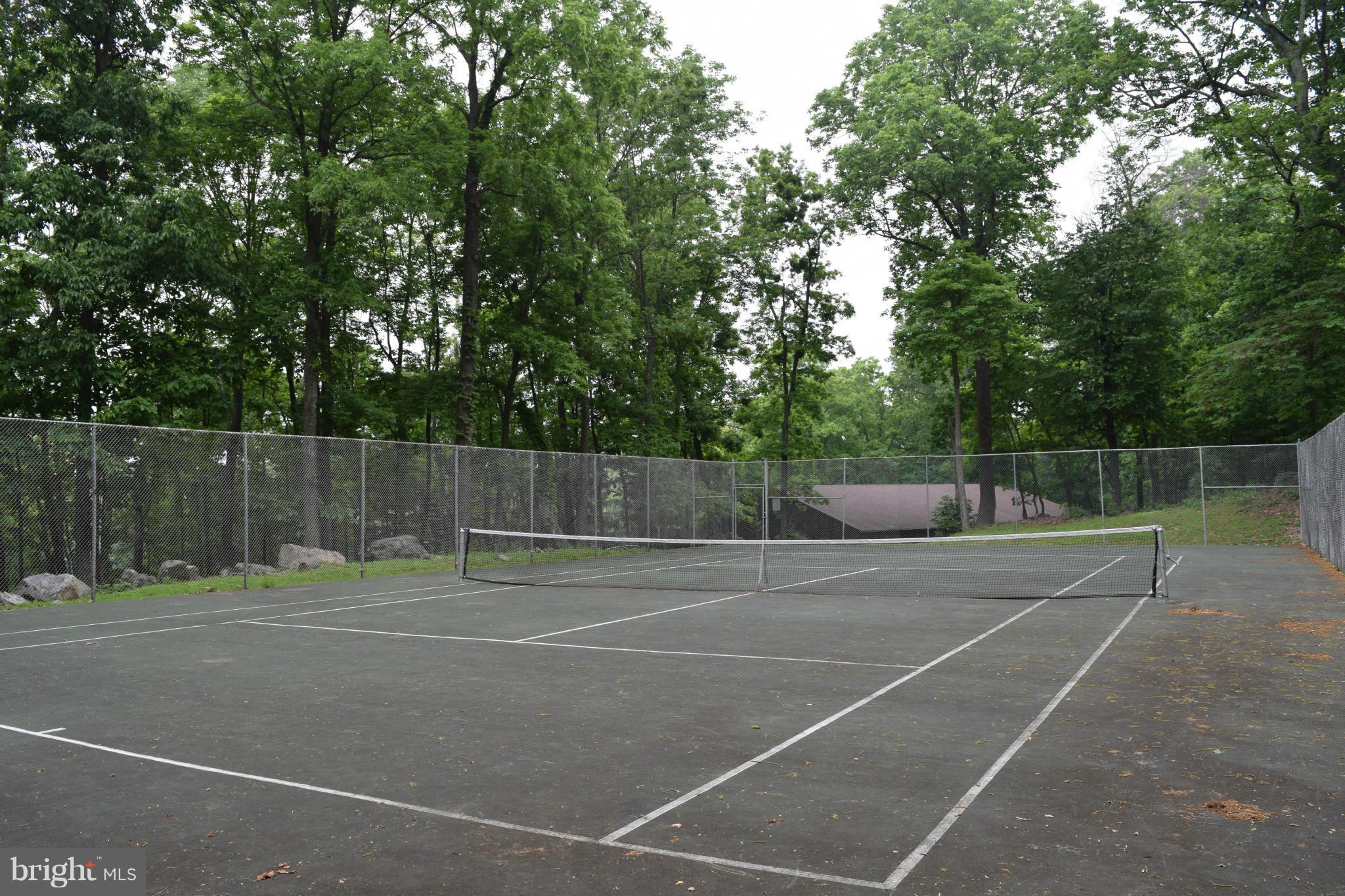 Red Bud Lane Front Royal, VA 22630 - Photo 19 of 21 a view of tennis court
