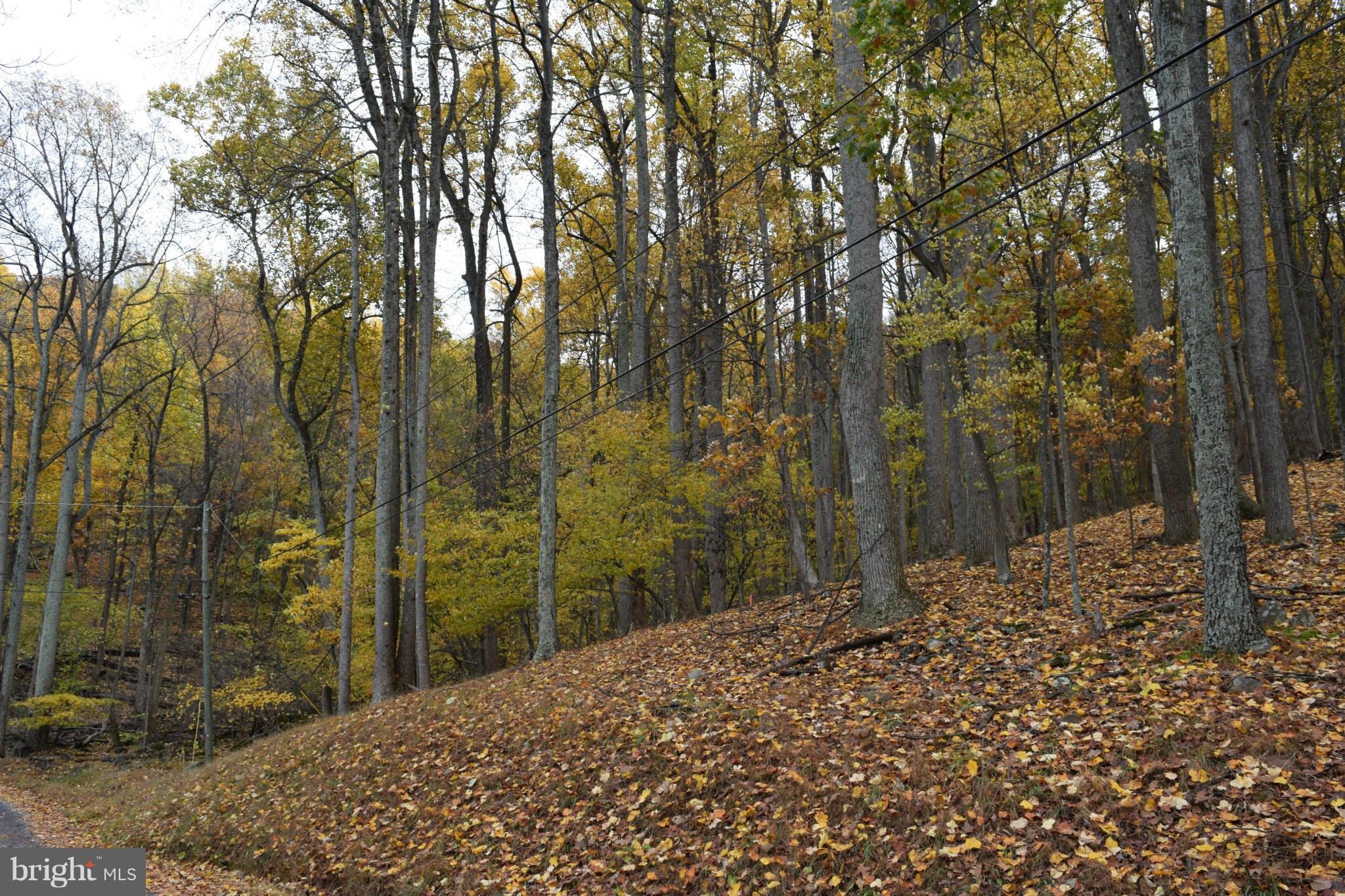 Red Bud Lane Front Royal, VA 22630 - Photo 5 of 21 a view of a backyard of a house
