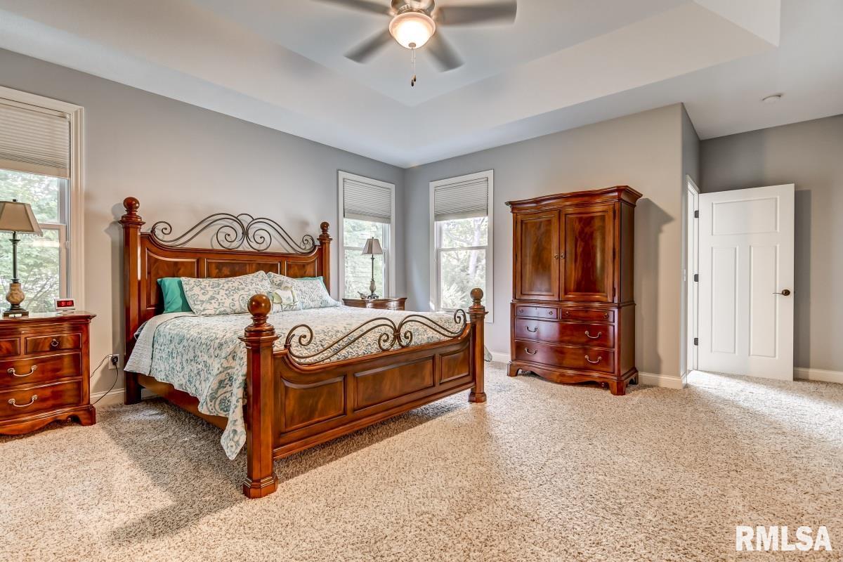 514 Walker Ridge Rochester, IL 62563 - Photo 23 of 57