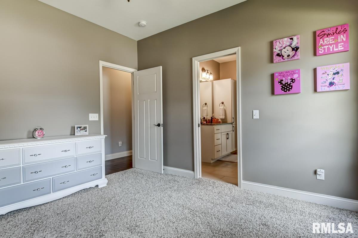 514 Walker Ridge Rochester, IL 62563 - Photo 34 of 57