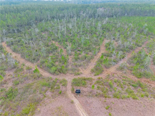 $549,000 | 7059 Thorn Bird Road, Millwood, GA 31552