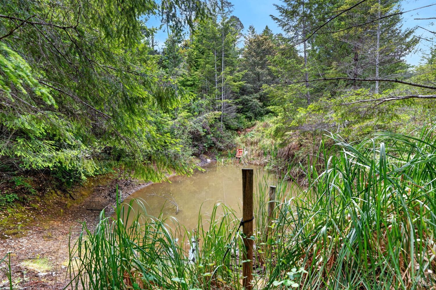 27421 Albion Ridge Road Albion, CA 95410 - Photo 35 of 41