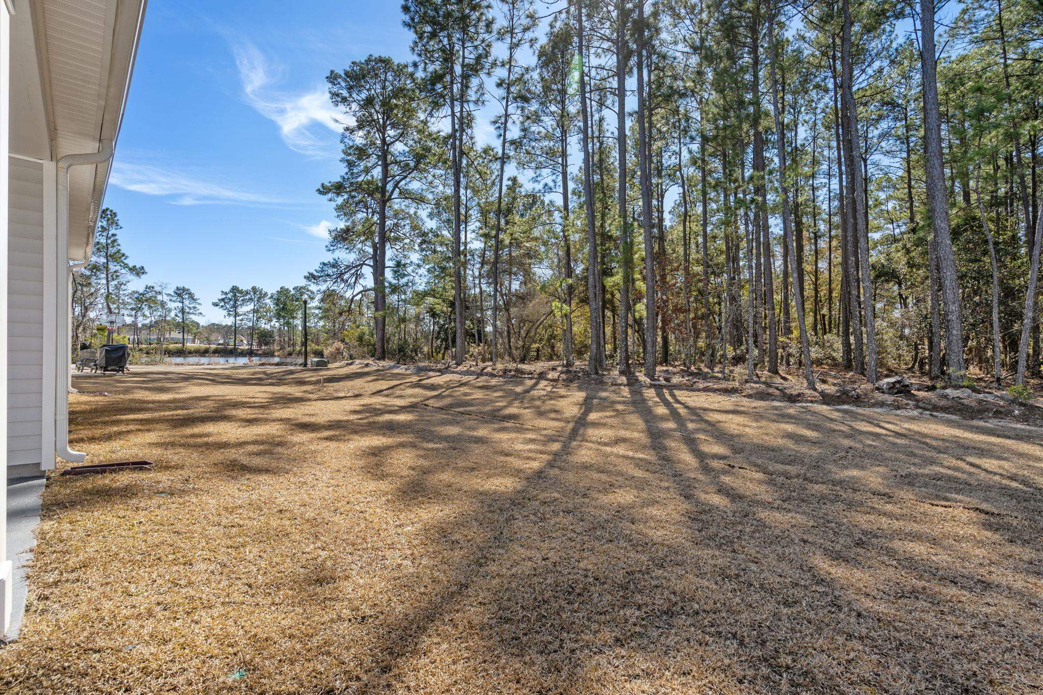4341 Falls Oaks Street Myrtle Beach, SC 29579 - Photo 18 of 43