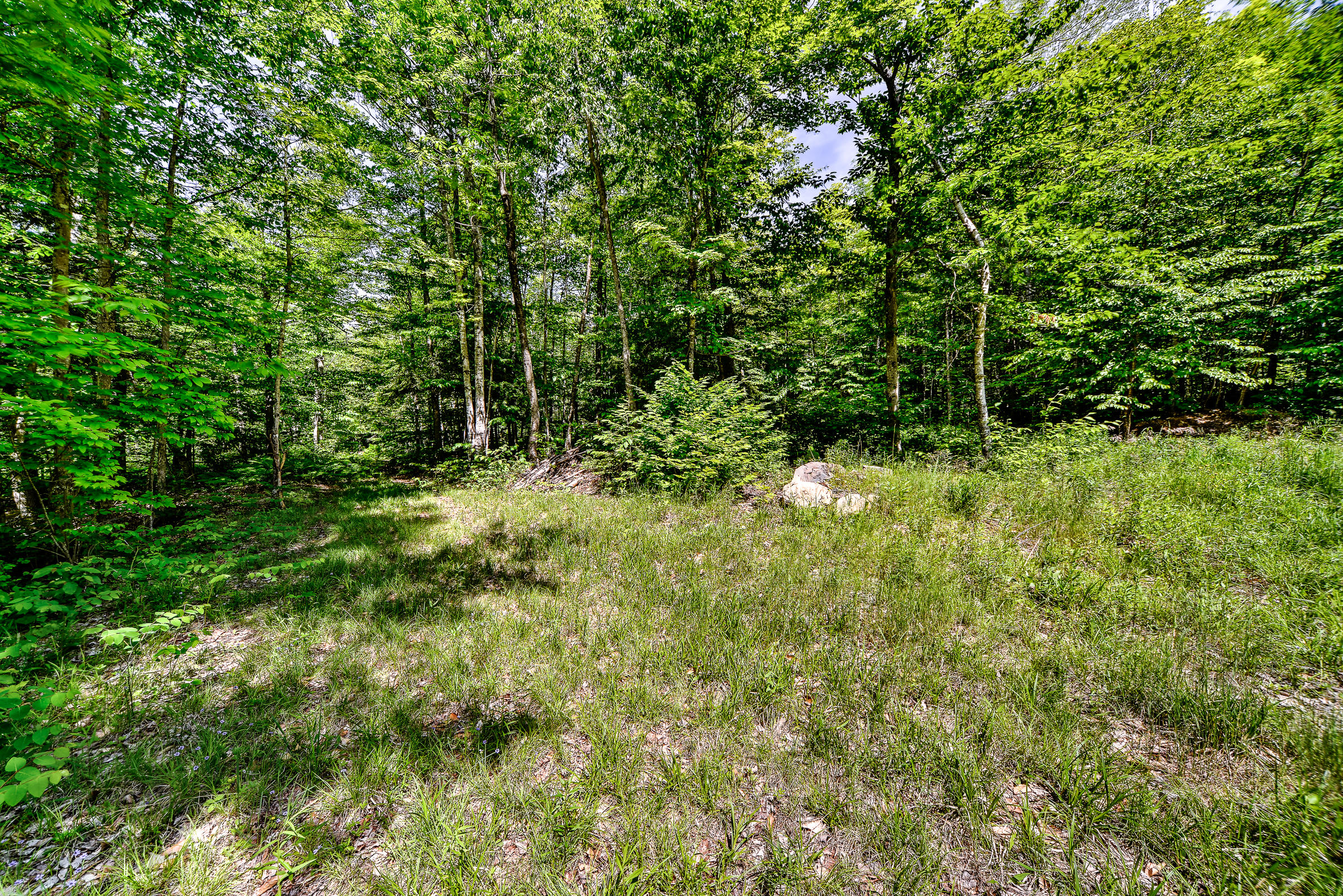 667 Belfast (rte 137) Road Freedom, ME 04941 - Photo 11 of 15 107718-11