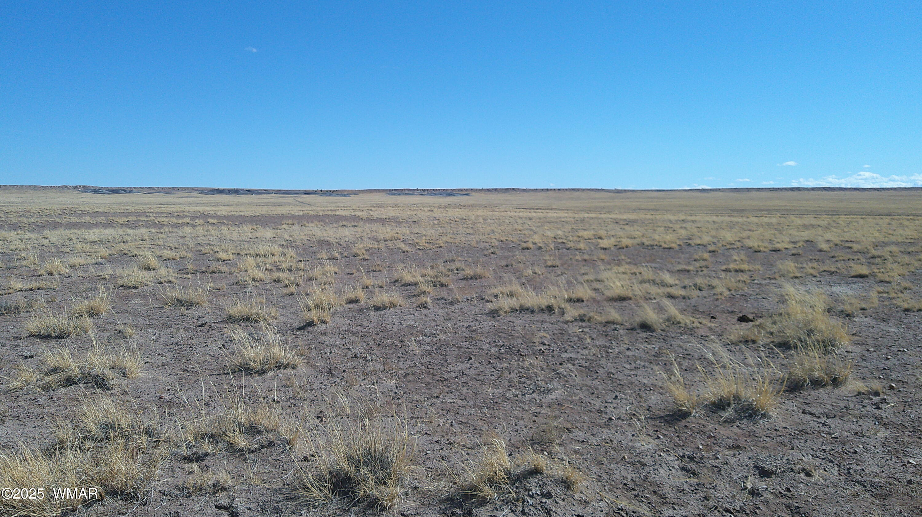 Tbd Tbd River Meadows Ranch Snowflake, AZ 85937 - Photo 2 of 6