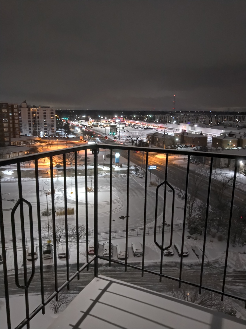 8815 West Golf Road, Unit 10C Niles, IL 60714 - Photo 23 of 27 a view of wooden balcony