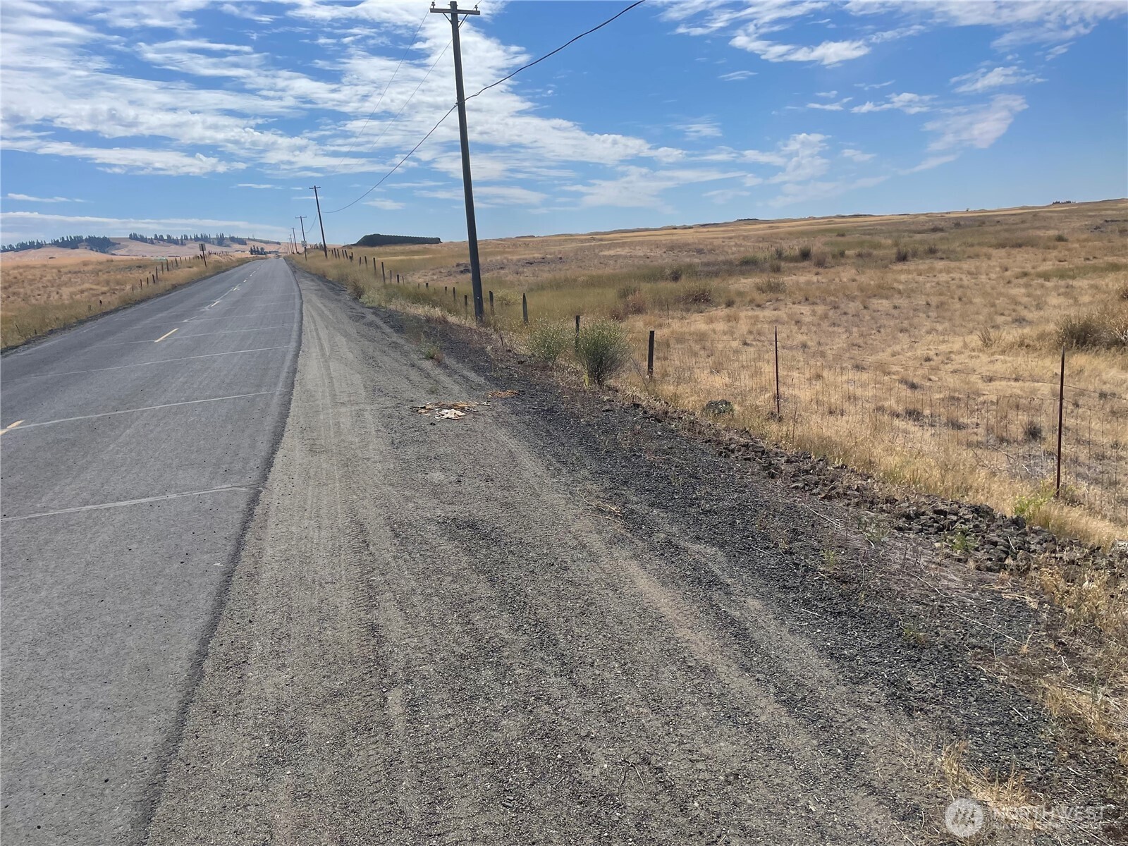 35251 Crescent Road North, Unit 1 Reardan, WA 99029 - Photo 13 of 20 a view of a yard with an ocean view