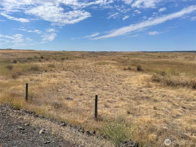 a view of a lake with a yard