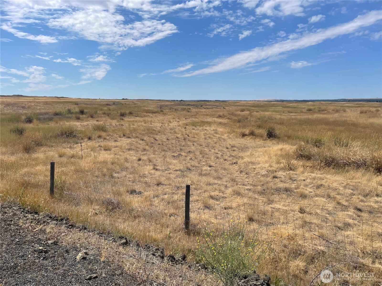 35251 Crescent Road North, Unit 1 Reardan, WA 99029 - Photo 14 of 20 a view of a lake with a yard
