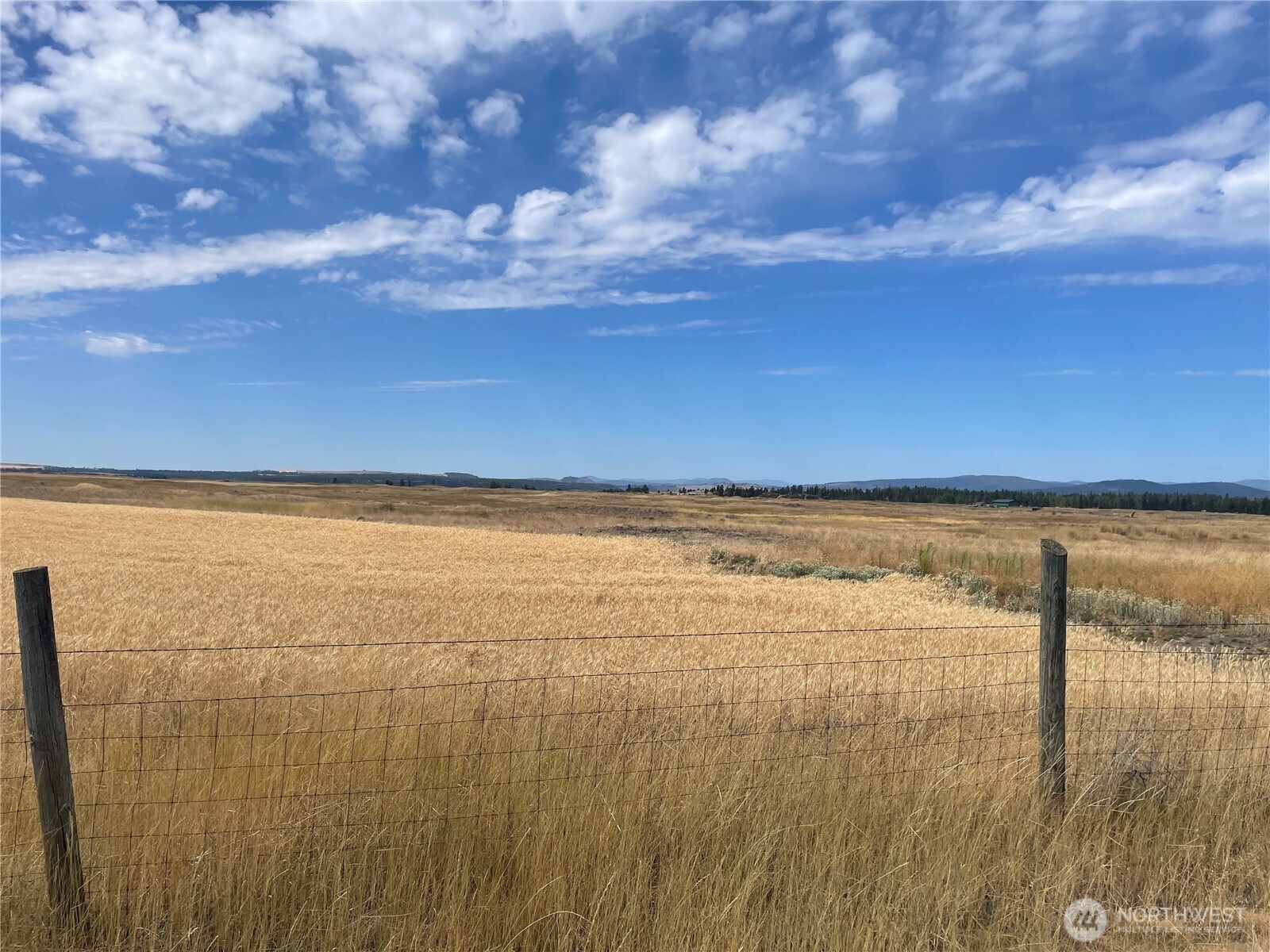 35251 Crescent Road North, Unit 1 Reardan, WA 99029 - Photo 15 of 20 a view of an ocean