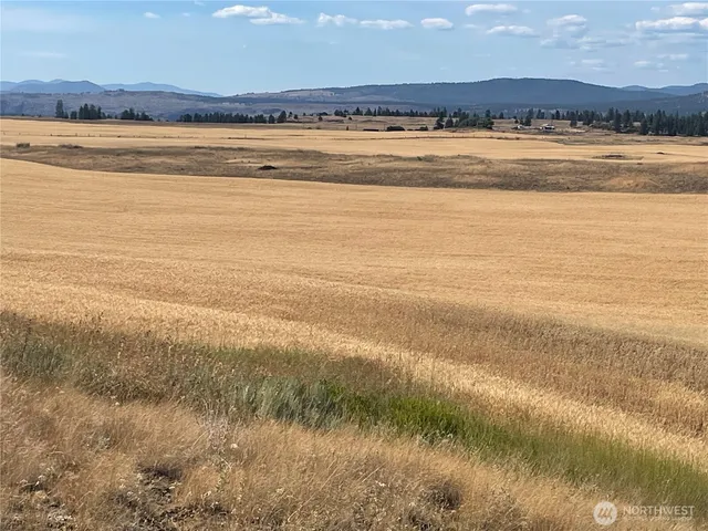 a view of an ocean and beach