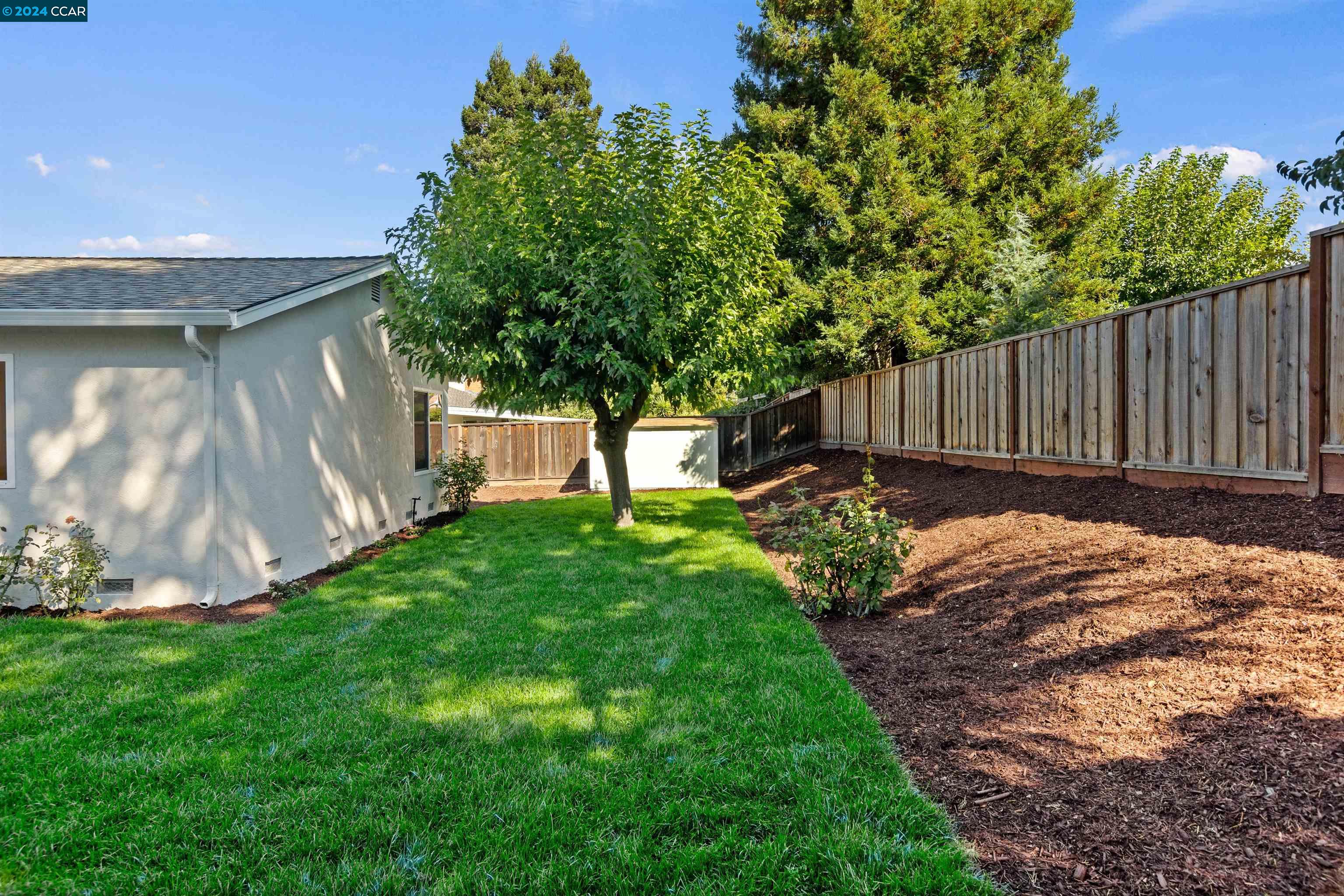 Pine Valley Road San Ramon, CA 94583 - Photo 31 of 34 a view of a backyard with wooden fence and a large tree