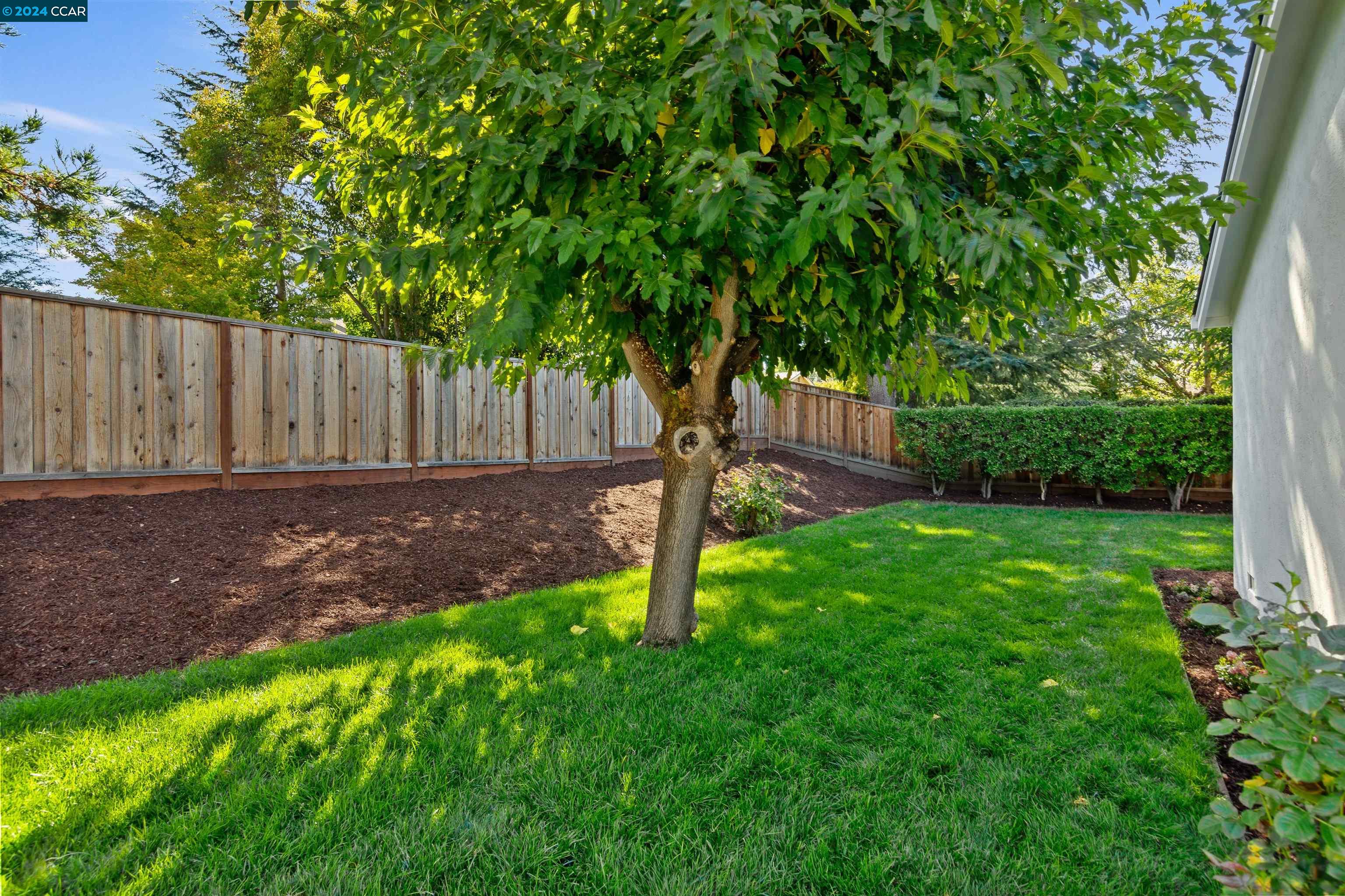 Pine Valley Road San Ramon, CA 94583 - Photo 32 of 34 a view of backyard with tree