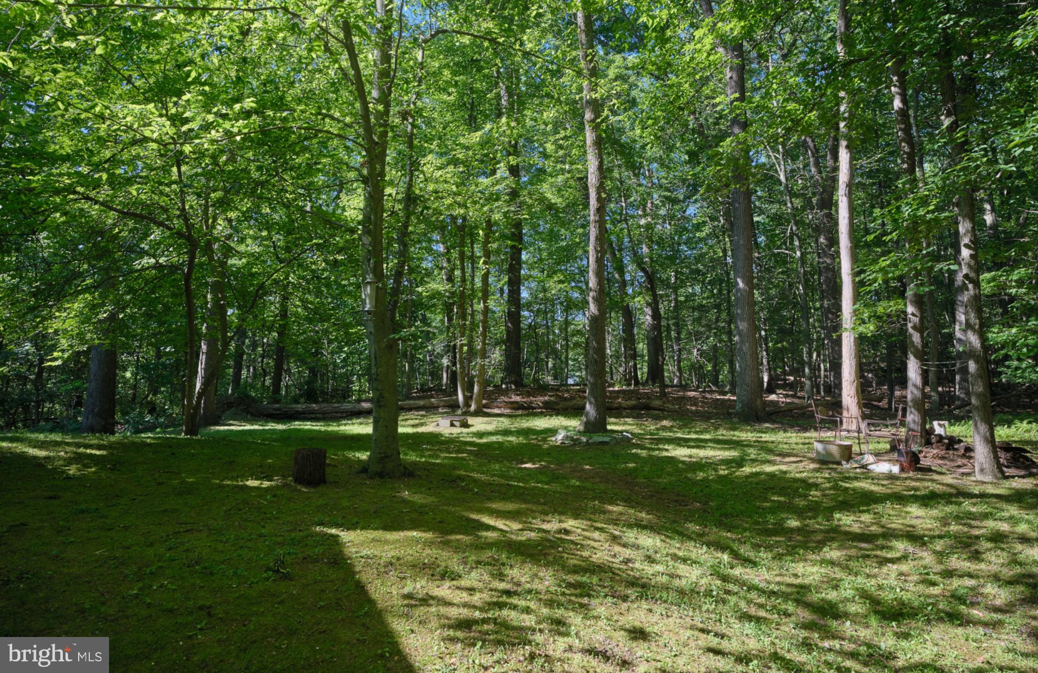 4831 Mountain Top Road West, Unit W New Hope, PA 18938 - Photo 23 of 28 Serene woodland retreat awaits you.