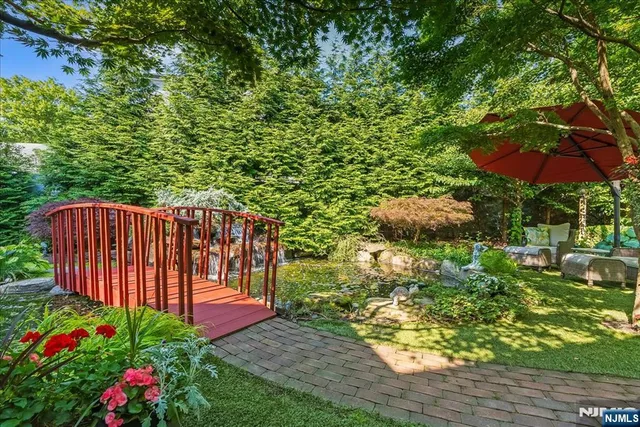 a view of a backyard with plants