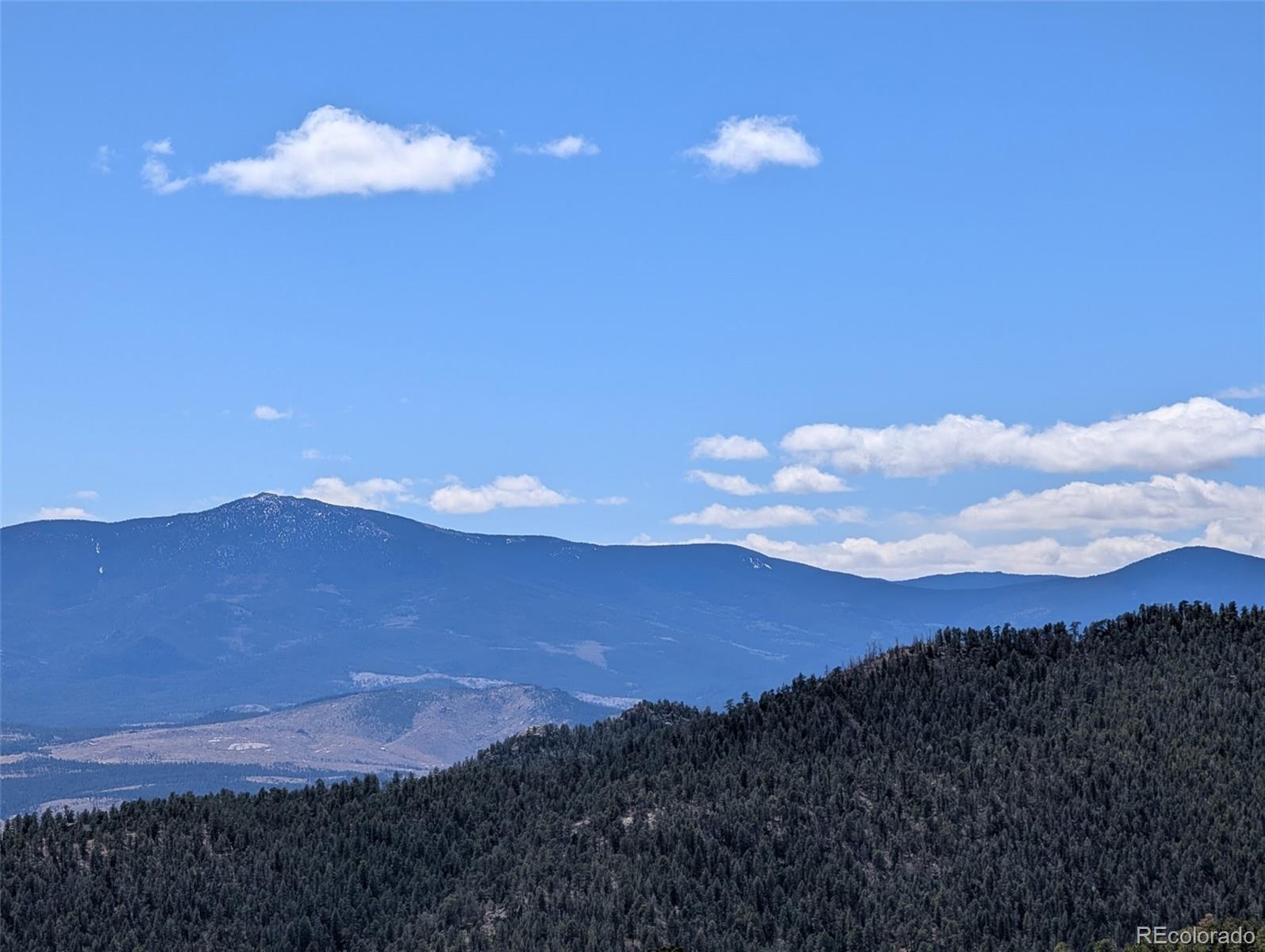 13108 Elsie Road Conifer, CO 80433 - Photo 12 of 49