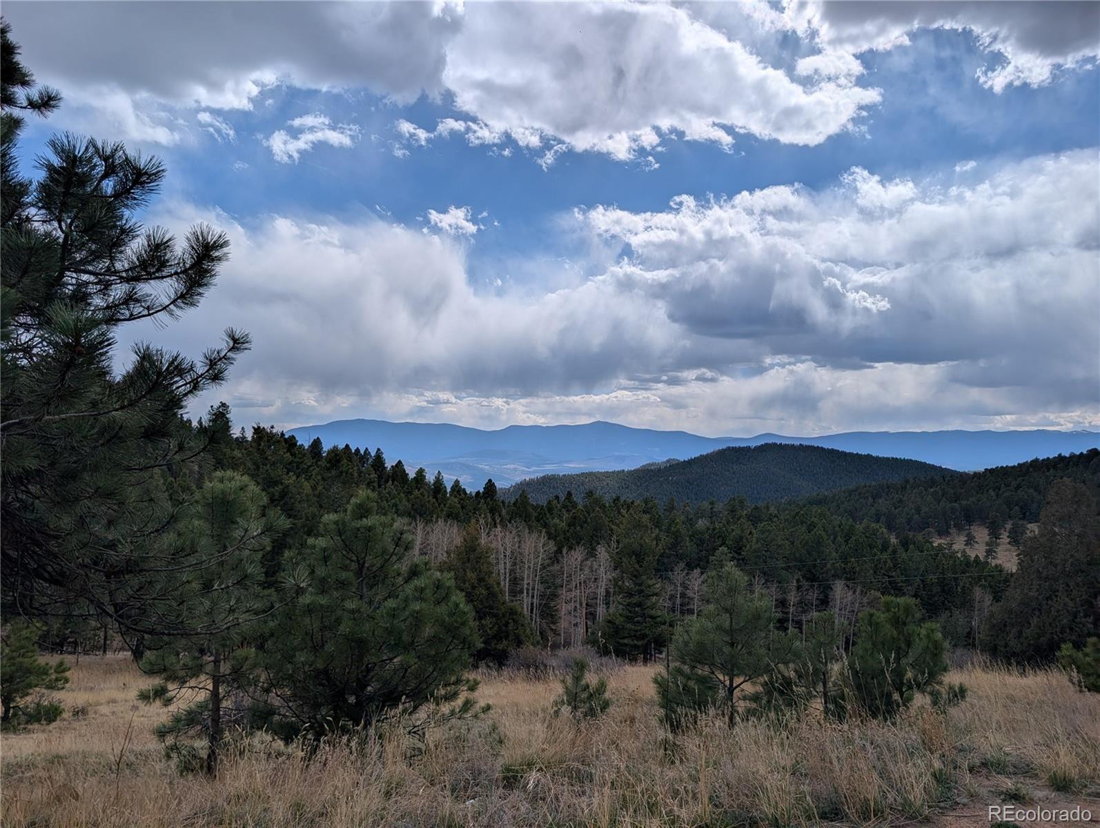 13108 Elsie Road Conifer, CO 80433 - Photo 34 of 49