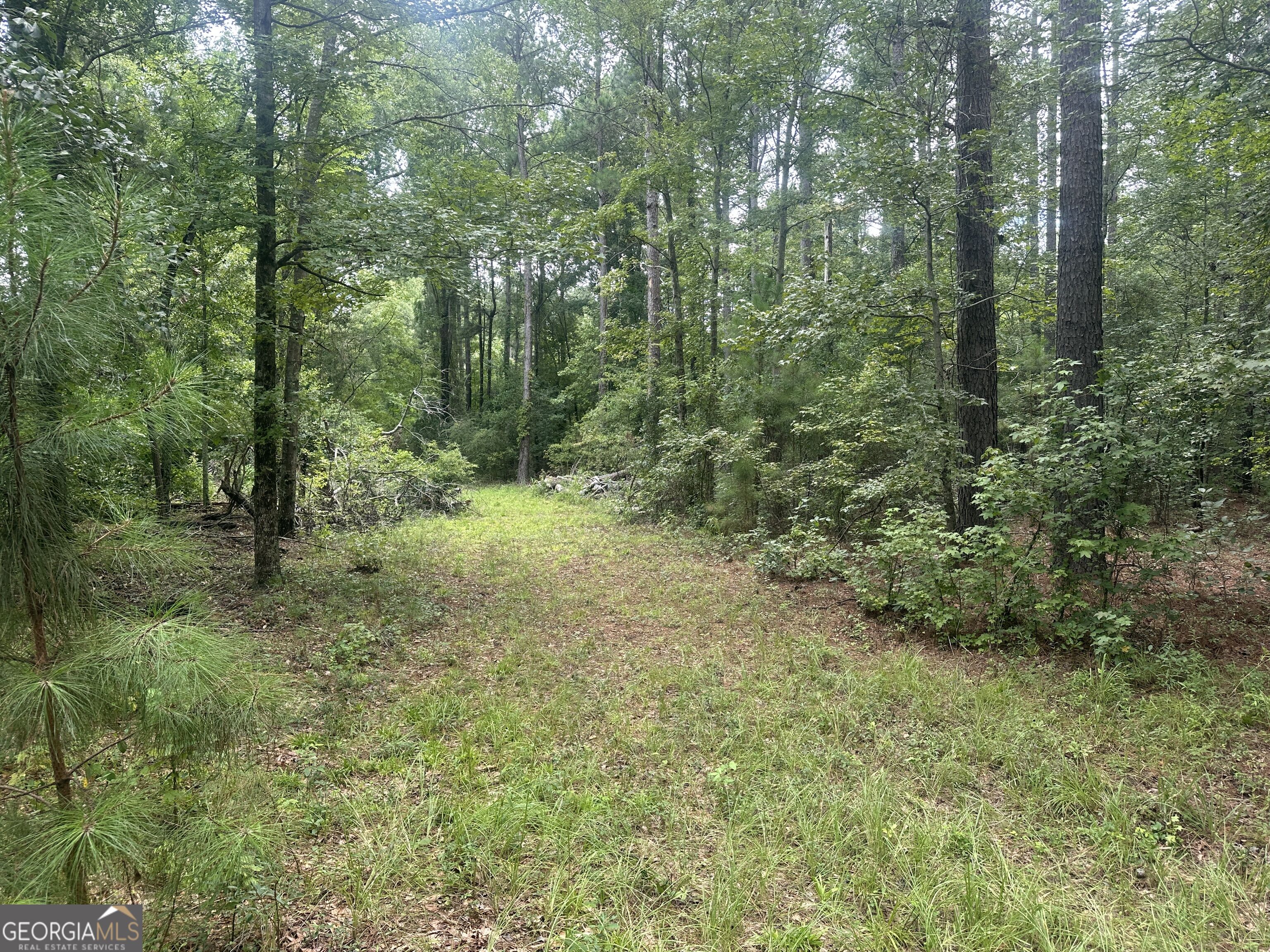 3693 Joyner-Oglesby Road Sardis, GA 30456 - Photo 17 of 32 Gallery Image 17