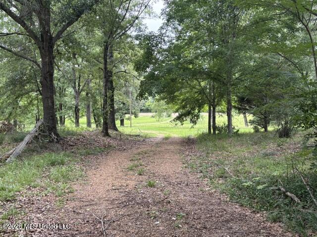 2914 Highway 7 Holcomb, MS 38940 - Photo 29 of 30 Drive to Hwy 7