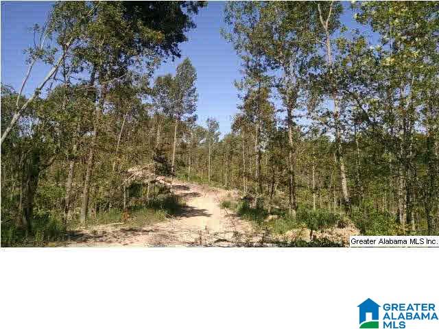 0 Beaver Ridge Drive, Unit 42 48 Ashville, AL 35953 - Photo 21 of 26