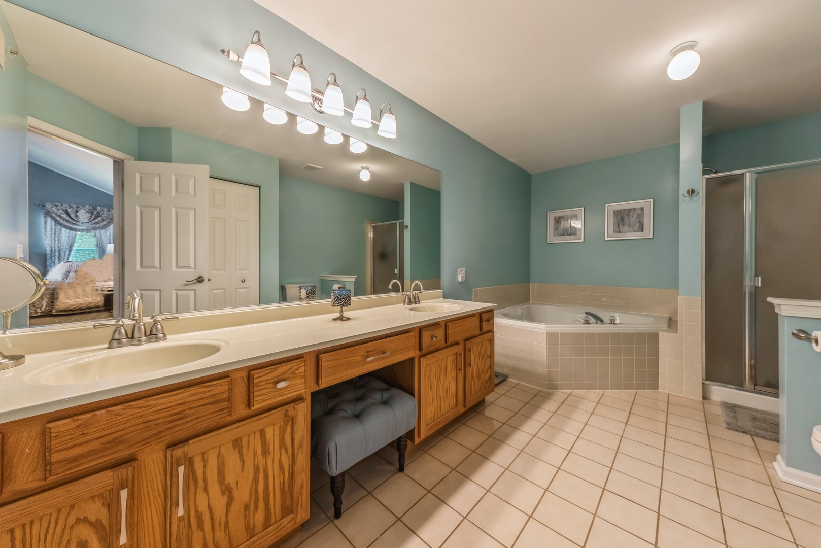 5561 McDonough Road Hoffman Estates, IL 60192 - Photo 9 of 16 a large bathroom with a large tub sink vanity and mirror