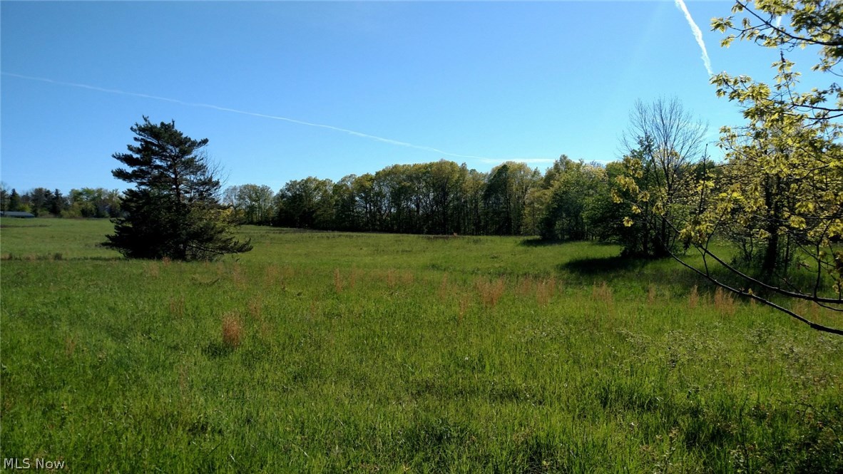 7287 Warner Road Madison, OH 44057 - Photo 3 of 5