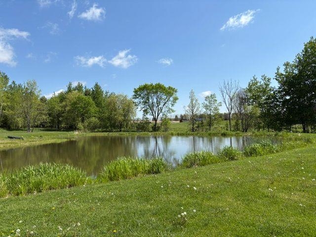 116744 Big Rapids Road Stratford, WI 54484 - Photo 57 of 60
