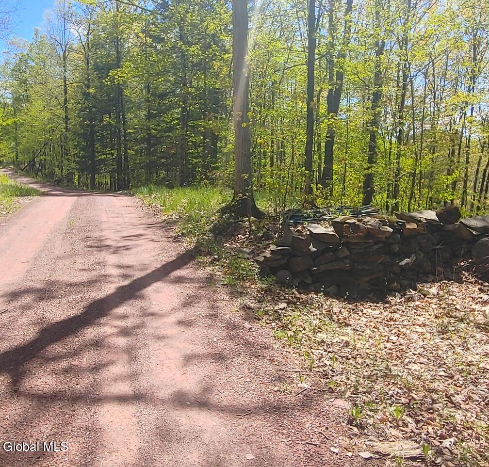 1710 Truthville Road Whitehall, NY 12887 - Photo 40 of 59 Screenshot_20260513-105227