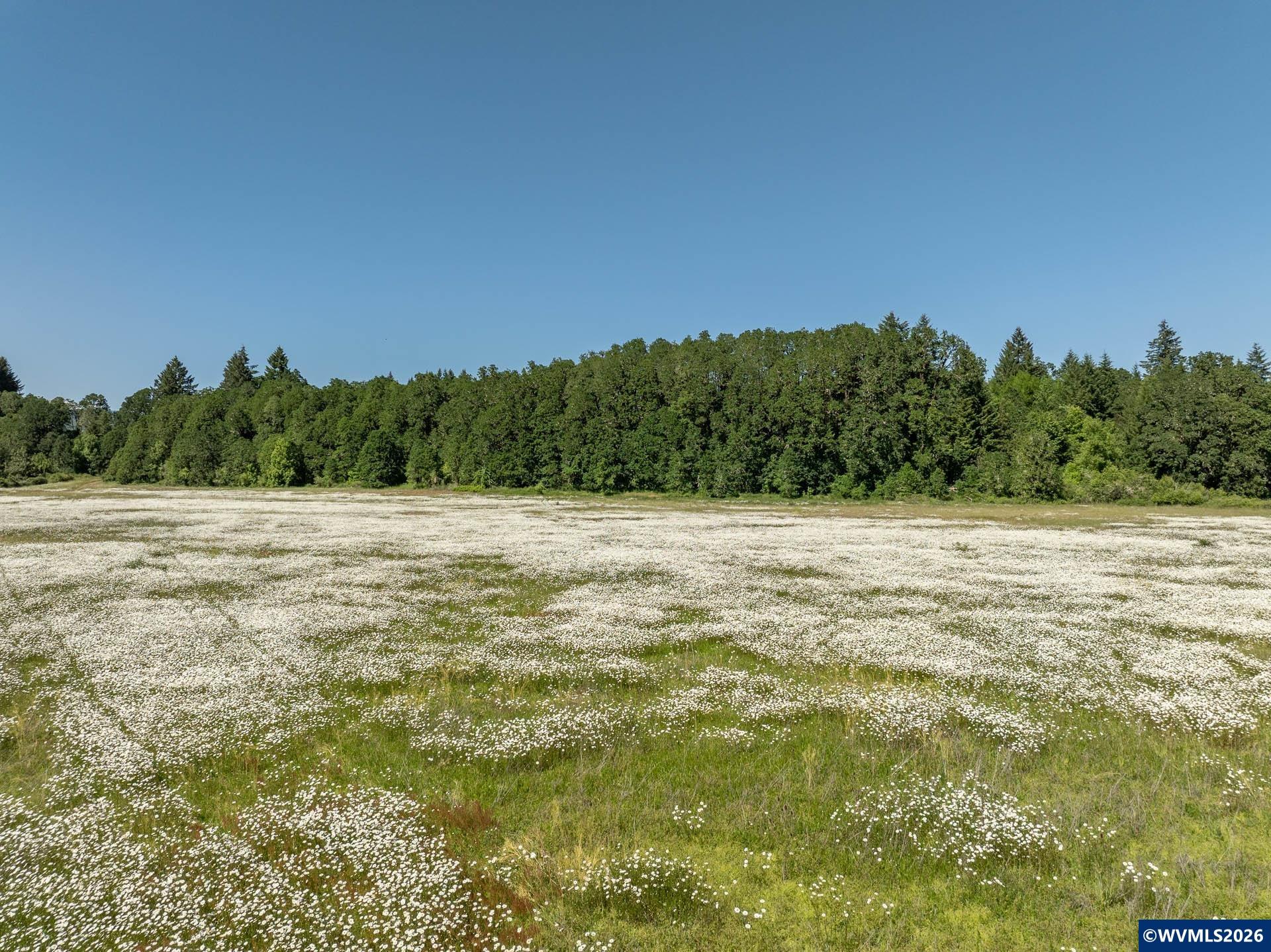 17940 Falls City Road Dallas, OR 97338 - Photo 8 of 11