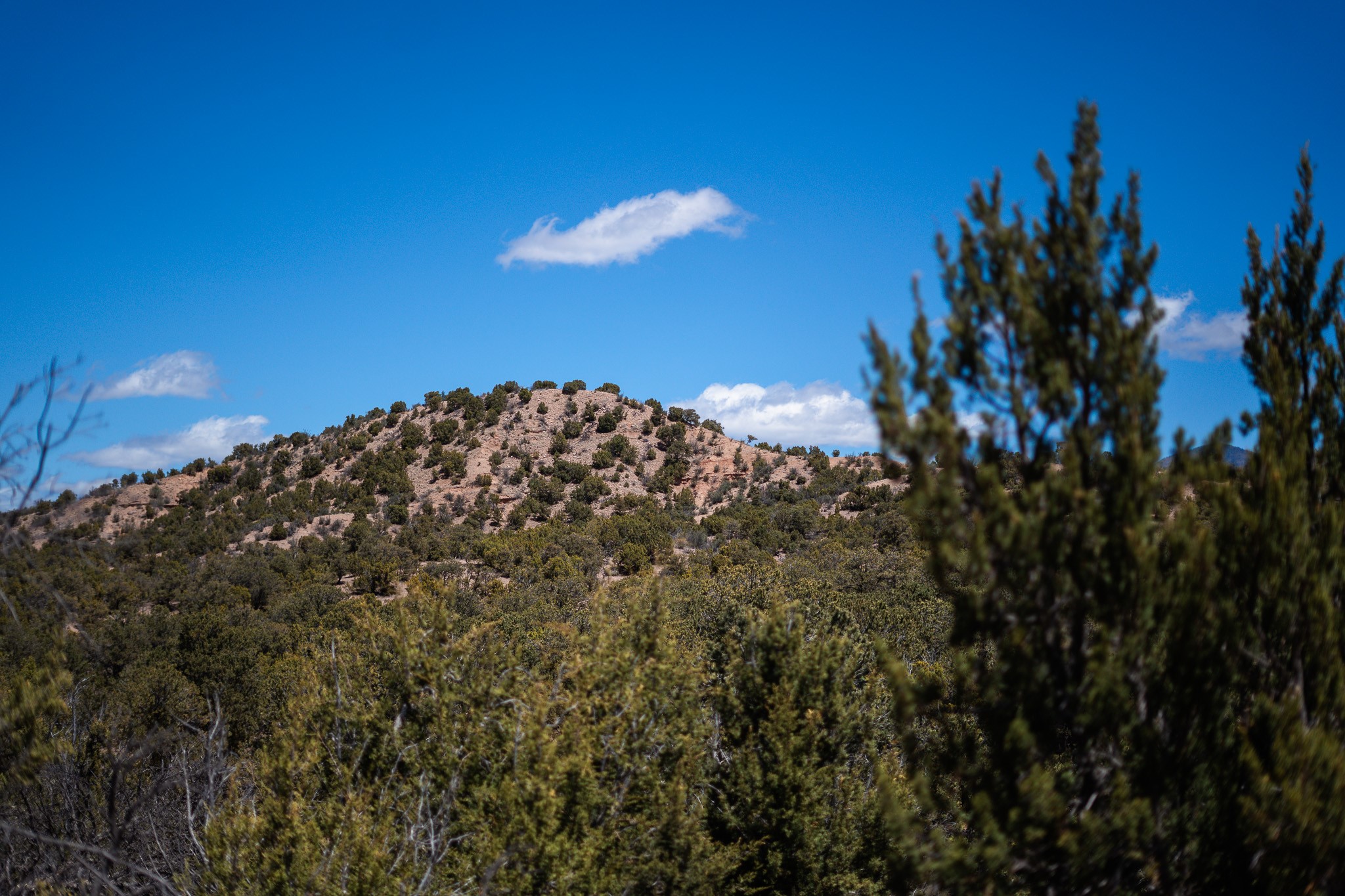 67-acres Red Ridge Santa Fe, NM 87501 - Photo 21 of 40 Middle Lot