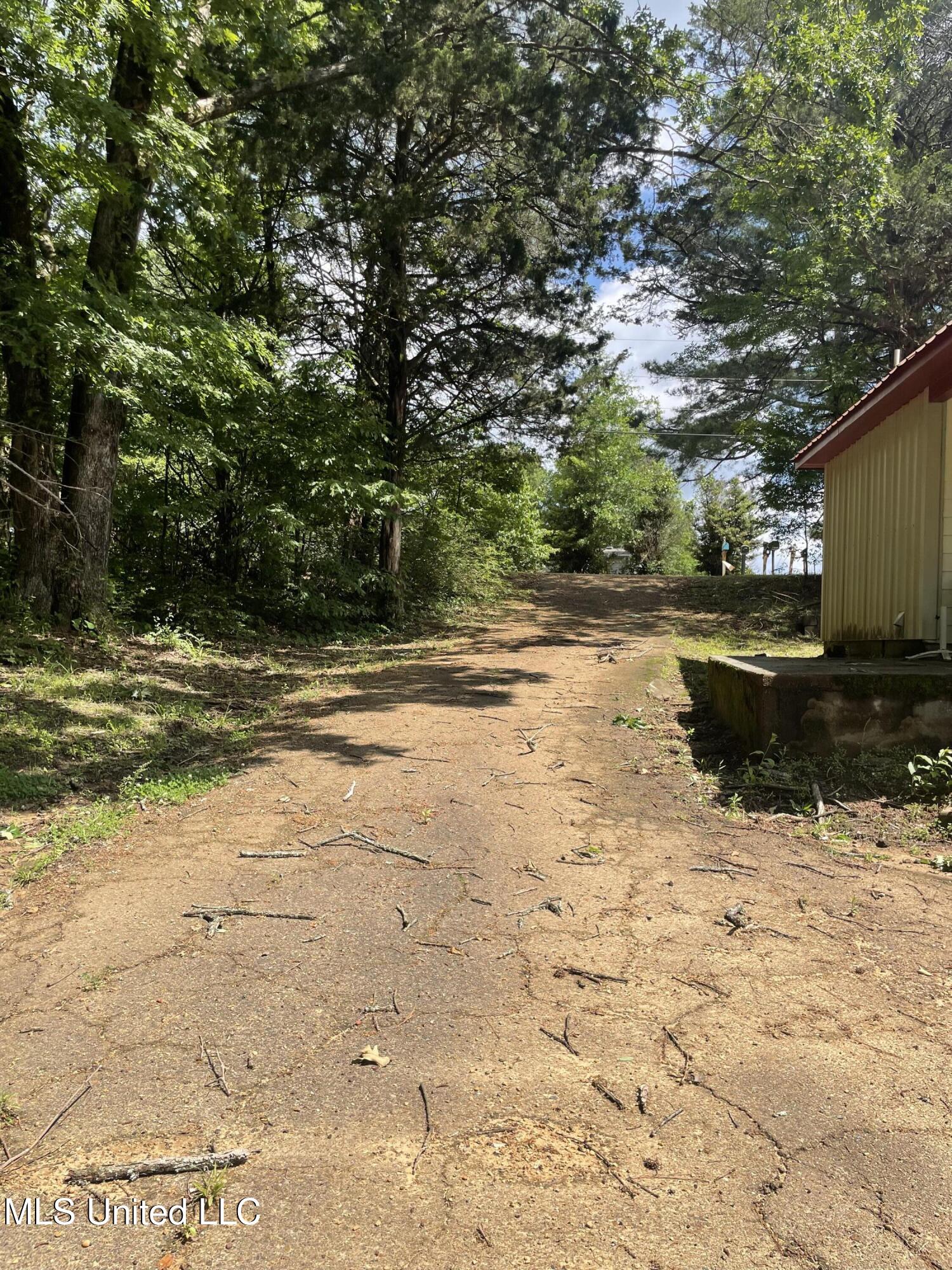 20 Cedar Heights Pope, MS 38658 - Photo 4 of 27 IMG_8880