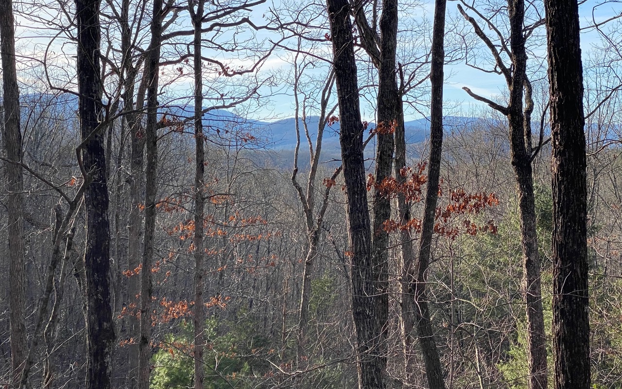 Lot16 Price Road Blue Ridge, GA 30513 - Photo 3 of 3 Additional View