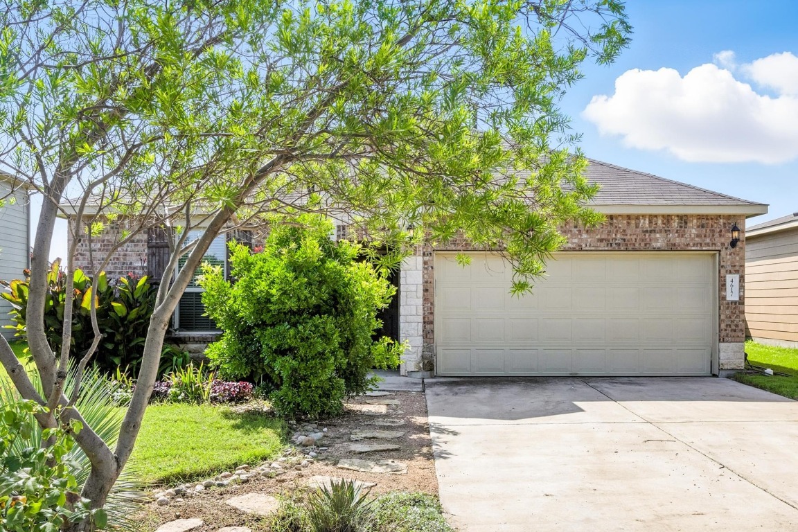 4617 Cleto Street Austin, TX 78725 - Photo 2 of 26 a view of backyard with potted plants and a large tree