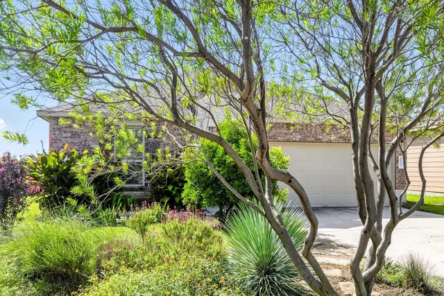 a plant that is in a garden