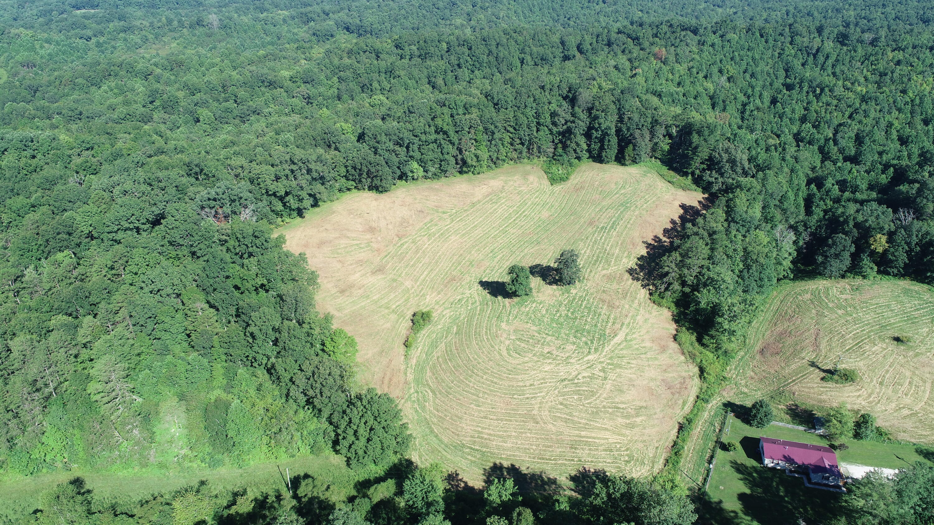 1 Langdon Branch Road Annville, KY 40402 - Photo 26 of 30 DJI_0235