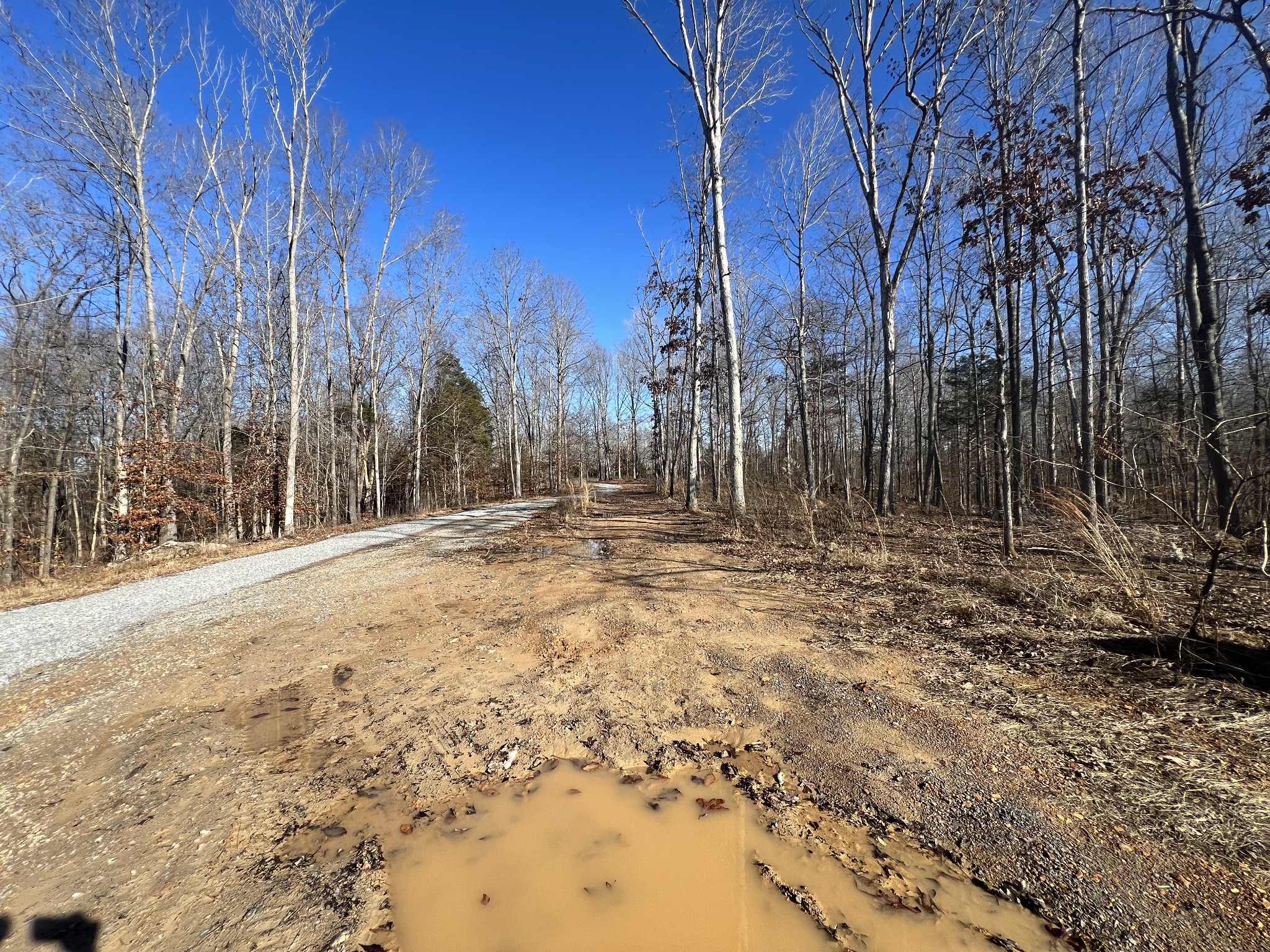 1512 Billy Parchman Road Erin, TN 37061 - Photo 11 of 34 Gallery Image 11