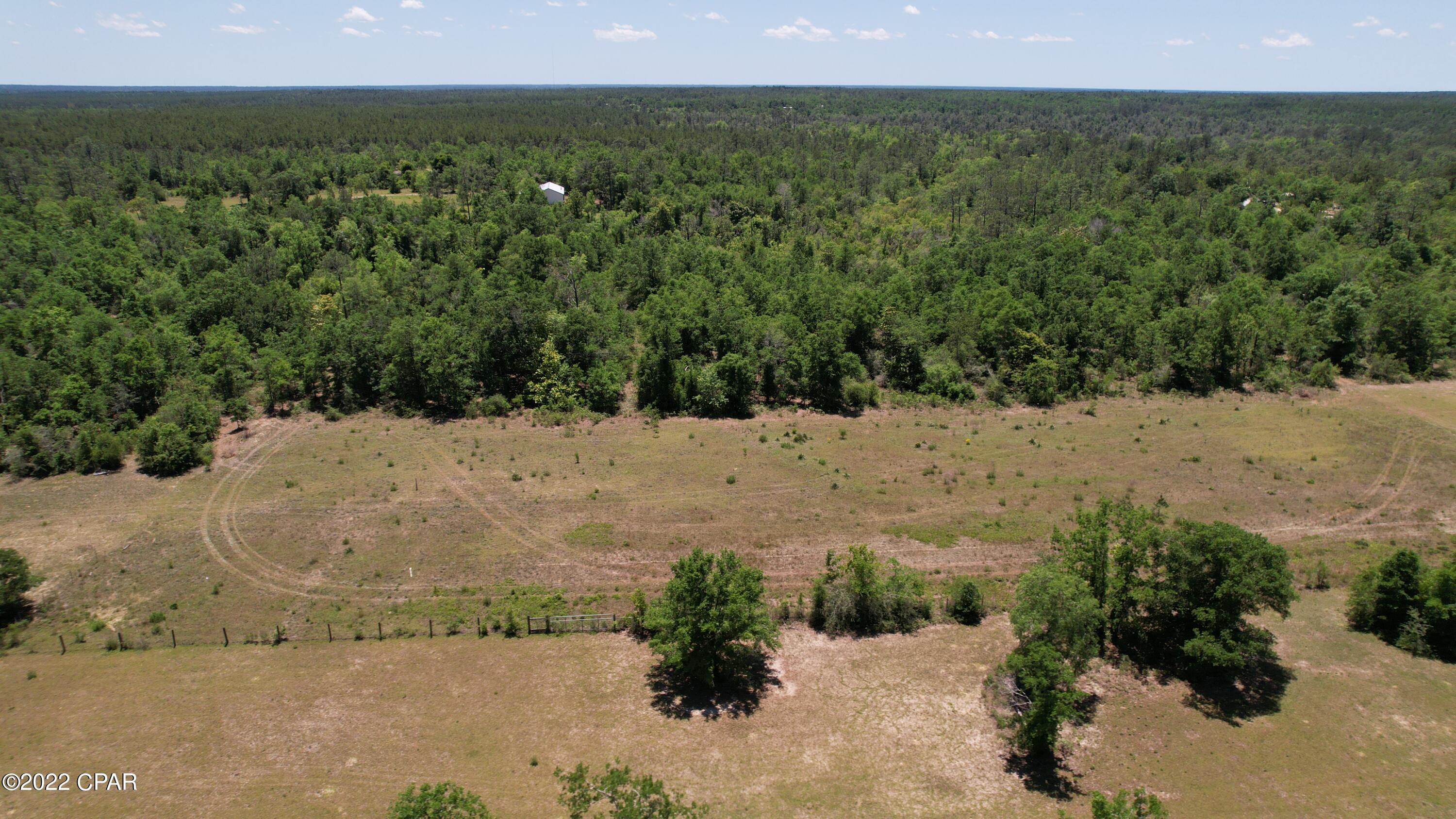0 Diddly Road Chipley, FL 32428 - Photo 2 of 25 Gallery Image 2
