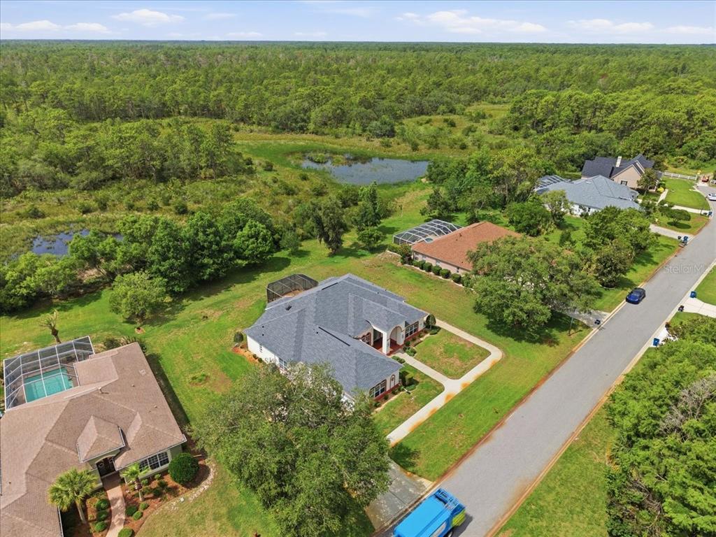 8698 Mississippi Run Weeki Wachee, FL 34613 - Photo 48 of 54