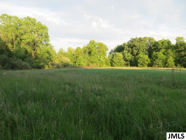 10679 Sharon Valley Road Brooklyn, MI 49230 - Photo 7 of 25 Photo 7