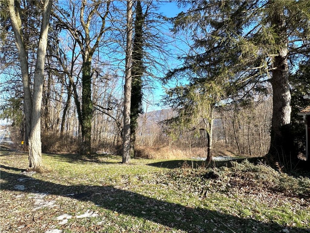 7309 State Rte 21 Italy, NY 14512 - Photo 4 of 37