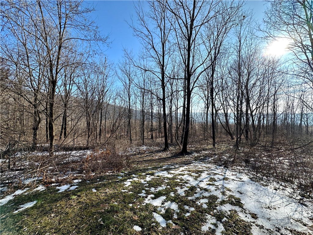 7309 State Rte 21 Italy, NY 14512 - Photo 5 of 37