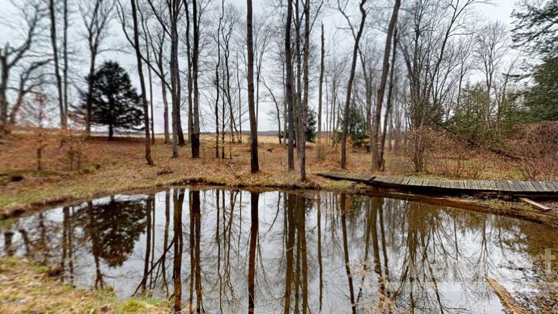 11280 Ellenton Mountain Road Shunk, PA 17768 - Photo 52 of 61 Spring fed frog pond