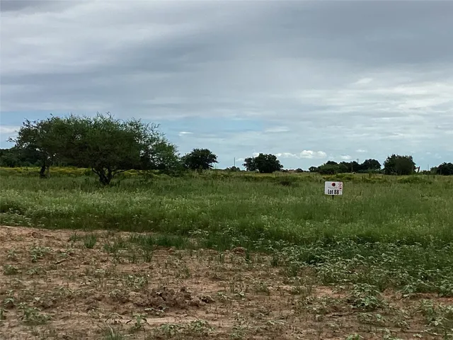 a view of a grassy field with trees